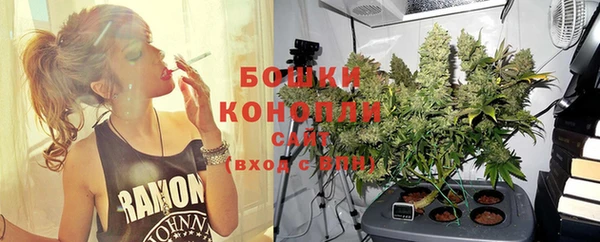 apvp Надым