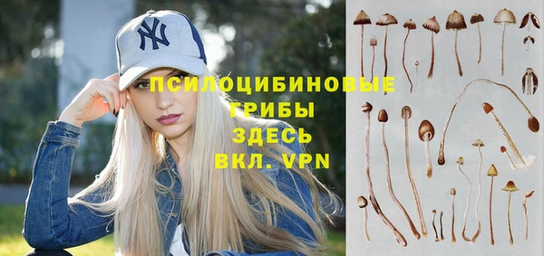 apvp Надым