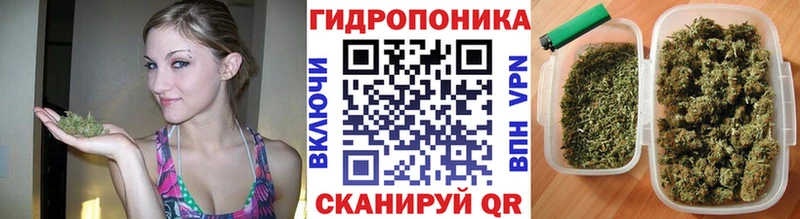 Шишки марихуана тримм  OMG зеркало  Нижний Ломов  купить наркотик 